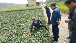 경남농업기술원, 우박피해 방지 현장기술지원 나서