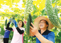 함양 여주의 세계화를 외치다