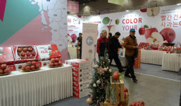 맛있는 우리 과일 한마당 가족놀이터가 열린다