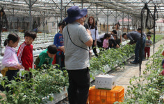 전남농업기술원, 농촌교육농장 17개소 품질인증 획득