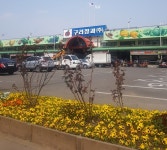 구리농수산물도매시장, 봄꽃으로 지친 마음 달래