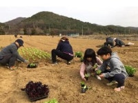 함께서울 친환경농장 4월11일 개장