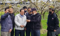 남양주시농업기술센터, 저온피해 과원관리법 교육