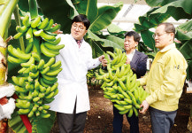 농촌에 희망을, 도시에 건강을…