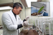 전북농업기술원, 정서곤충 여치 사육기술 개발 박차