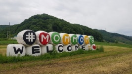 대기업 사표 후, 목장형 6차산업에 도전....꿈은 진행형