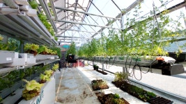 공원 아니라 생생한 도시농업 현장이죠