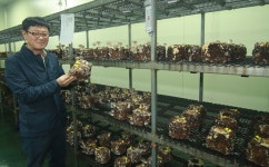 버섯에서 친환경농업까지…연구범위 확장한다