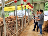 농협, 한우농가 경영진단 프로그램 개발·보급