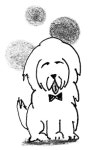 퍼스트 독(First Dog)