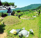 마음은 언제나 고향…혼으로 노래한 전설
