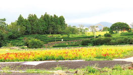 치유농업센터로 기능 강화해 행복제주 구현