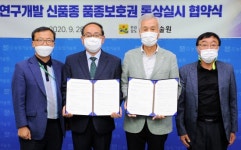 전남농업기술원, 차나무 신품종 진녹 통상실시