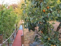 원예학 박사가 꾸민 정원에서 피크닉 어때?