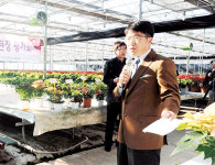 배추 필름포장으로 상품성·저장성 높입니다~