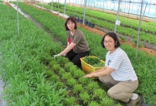 우리끼리 농장 생기니 생활에 활력