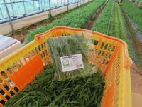 우리끼리 농장 생기니 생활에 활력