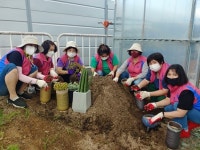 생활개선동두천시聯, 다육식물로 심신치유해요~