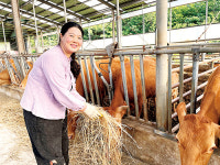 생활개선회 살림, 내게 맡겨요