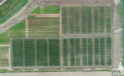 간척지 재배 사료 작물 개발에 민관학 힘 모은다