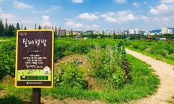 도시농업 확산으로 농업 존재감 키운다