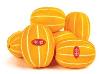 농우바이오, 참외 은하수꿀·미리내꿀 품종 추천