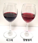 양조용 포도 아그데 개발
