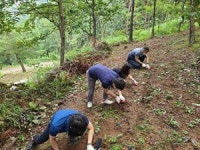 코로나 시대, 면역력 키우고 힐링 채운다
