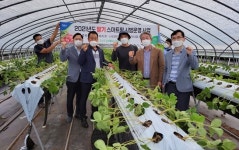 농협, 딸기 스마트팜 시범운영