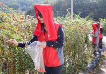 마사회, ‘농어촌마을 봉사활동’ 펼쳐