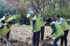 농협금융지주, 농촌일손돕기 활동