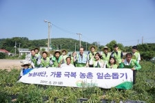 농협재단, 강화군 송해면서 일손돕기