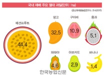 아열대작물…농가 효자노릇 ‘톡톡’ 