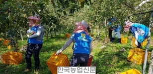 농협케미컬, 우박 피해 사과 농가 찾아