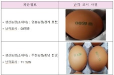천안.포천서 살충제 대사산물 검출 계란 폐기