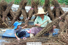 4대가 함께 만드는 고소한 이야기...농부창고 