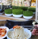 [대부도 맛집여행] 35년 전통의 터줏대감 우리밀칼국수