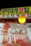 강릉 맛집 으로 유명한 경포대대게맛집, 경포대횟집  영덕대게횟집