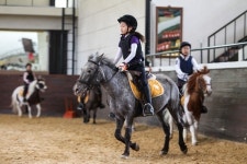한국마사회, 승마선수단 해체