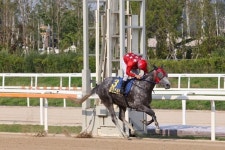 마사회, 일간스포츠배 리드머니 우승