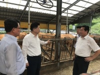 [동정] 채원봉 농협 조합감사위원장, 홍천축협 폭염 대응현황 점검