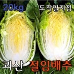 괴산시골절임배추 20kg 3만원 판매 결정 