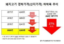 돼지 도매가격 연이은 폭락...농가들 한숨