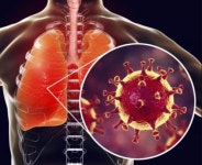 고르고 반림점 논란 실체는?... 7년 이하의 징역까지 처벌 받을 수 있다 충격 급부상