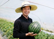 함안수박축제 취소...퍼밀, 스마일농부 캠페인 진행