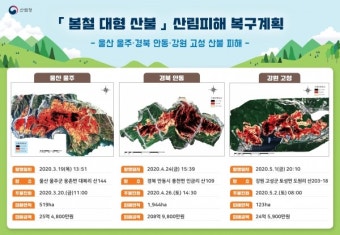 울주·안동·고성 산불 피해지역 복구에 700여 억원 투입
