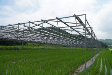 [기획-양날의 검 태양광발전 ② 현장을 가다] 우려와 기대 동시에 품는 영농형태양광