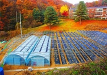 [기획 양날의 검 태양광⓸ - 영농형태양광 표준화 시급]태양광발전, 농가 피해 방지 위한 정책 마련 시급