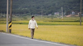 김영철의 동네 한 바퀴 소박하지만 따뜻한 마음 잃지 않고 살아가는 전남 강진 소개 