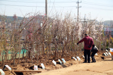 영재목재전시장 | 가격·품질·서비스 갖춘 용인 나무전시판매장